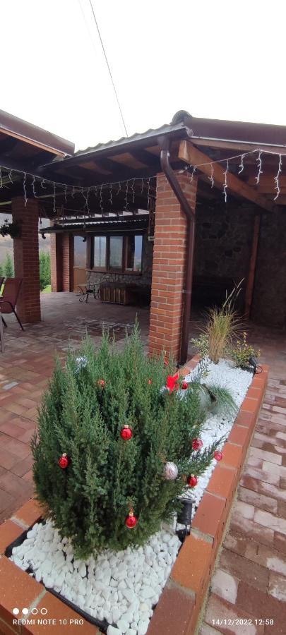 View Cozia Villa Călimăneşti Eksteriør bilde